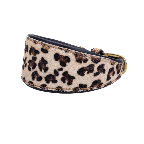 Pear Tannery Leopard Print Padded Flat Leather GreyHound Collar