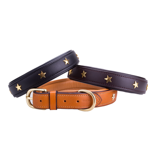 Pear Tannery Padded Leather Dog Collar With Star