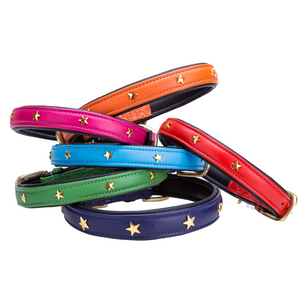 Pear Tannery Soft Padded Flat Leather Dog Collar star