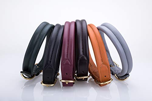LV dog collar - various colors