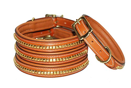 Pear Tannery Brass Clincher Leather Dog Collar – PearTannery